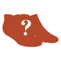 The Mystery | Surprise Heel Hammock™ Ankle Socks - Shinesty