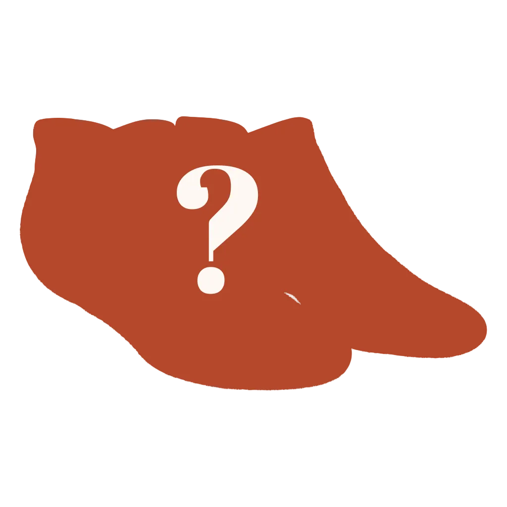 The Mystery | Surprise Heel Hammock™ Ankle Socks - Shinesty