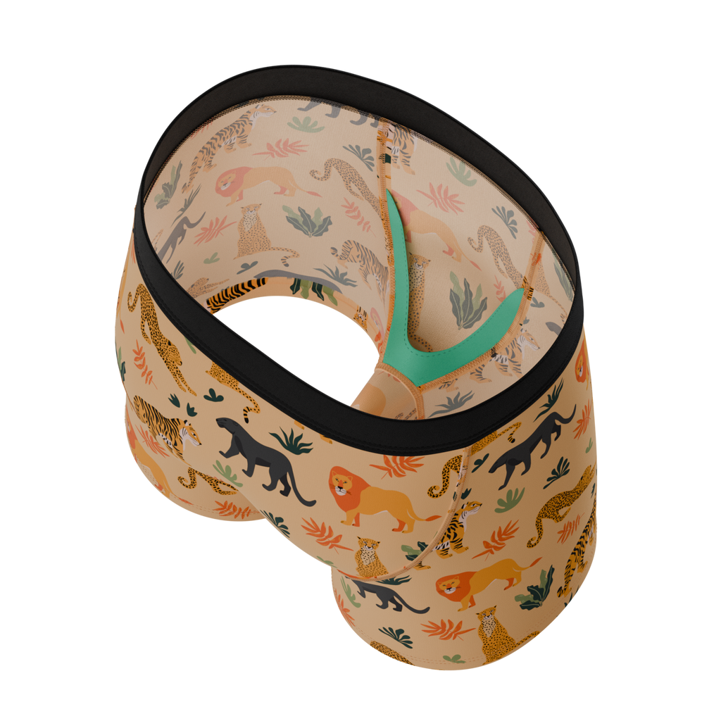 The Big Cat Conga | Safari Animals Youth Boxer Briefs - Shinesty