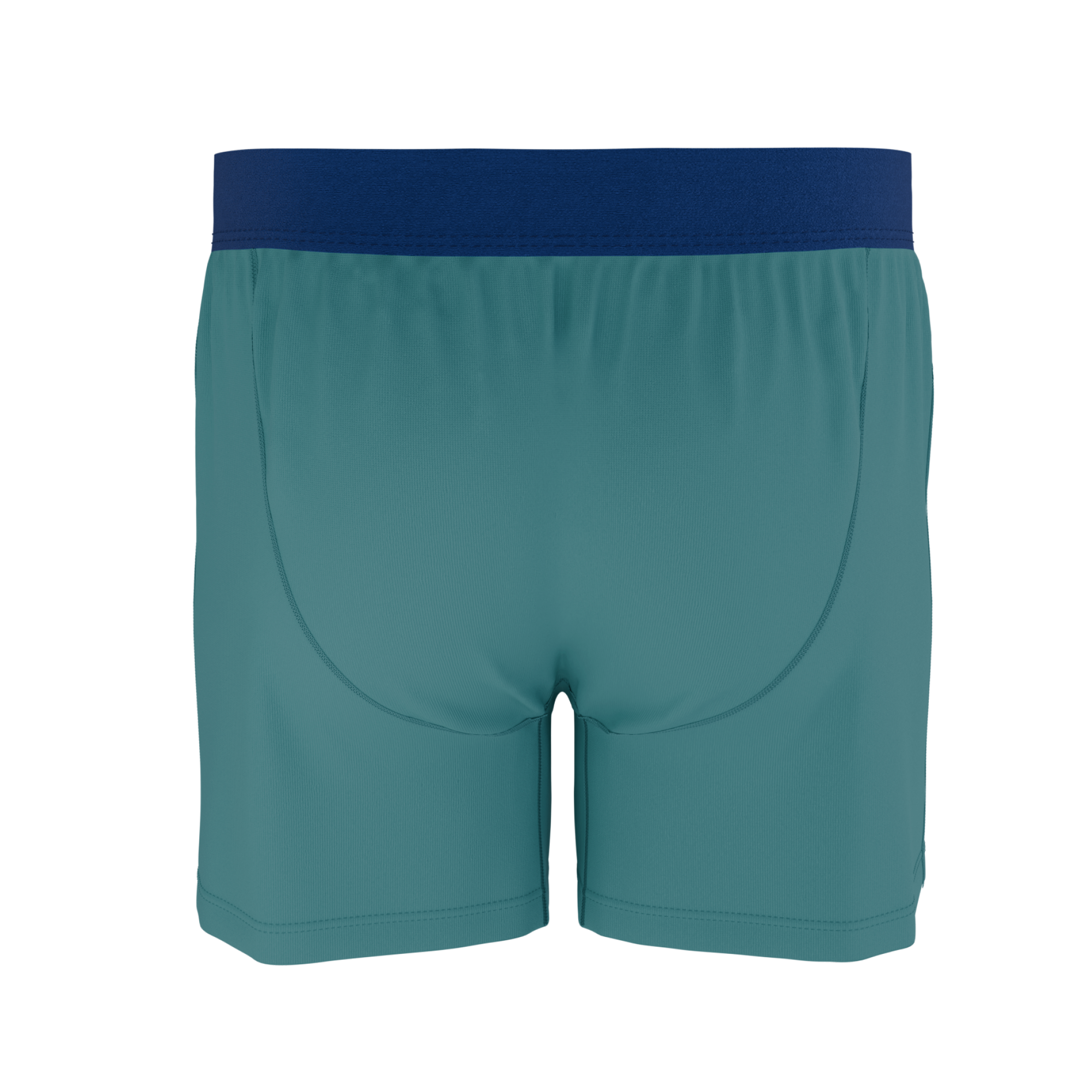 The Curacao | Teal Boxers - Shinesty