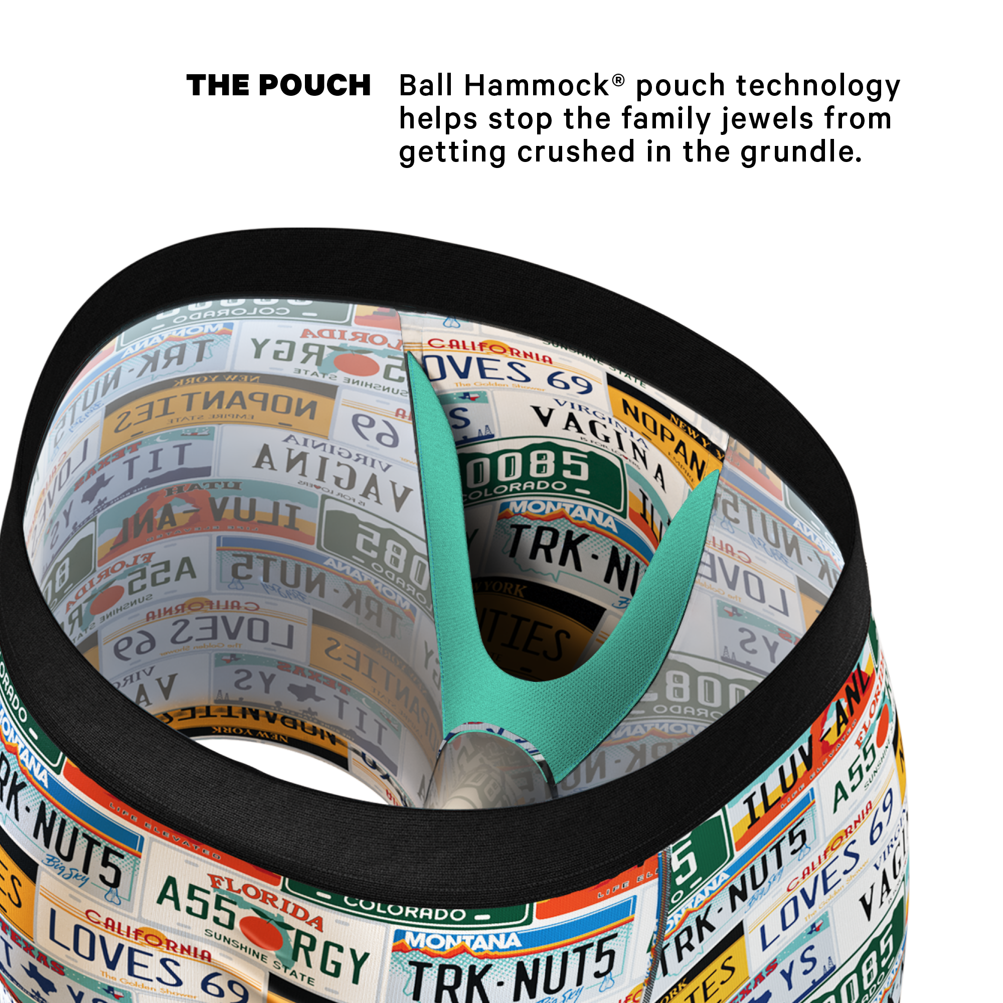 The DMV Catastrophe | License Plates Ball Hammock® Pouch Underwear - Shinesty