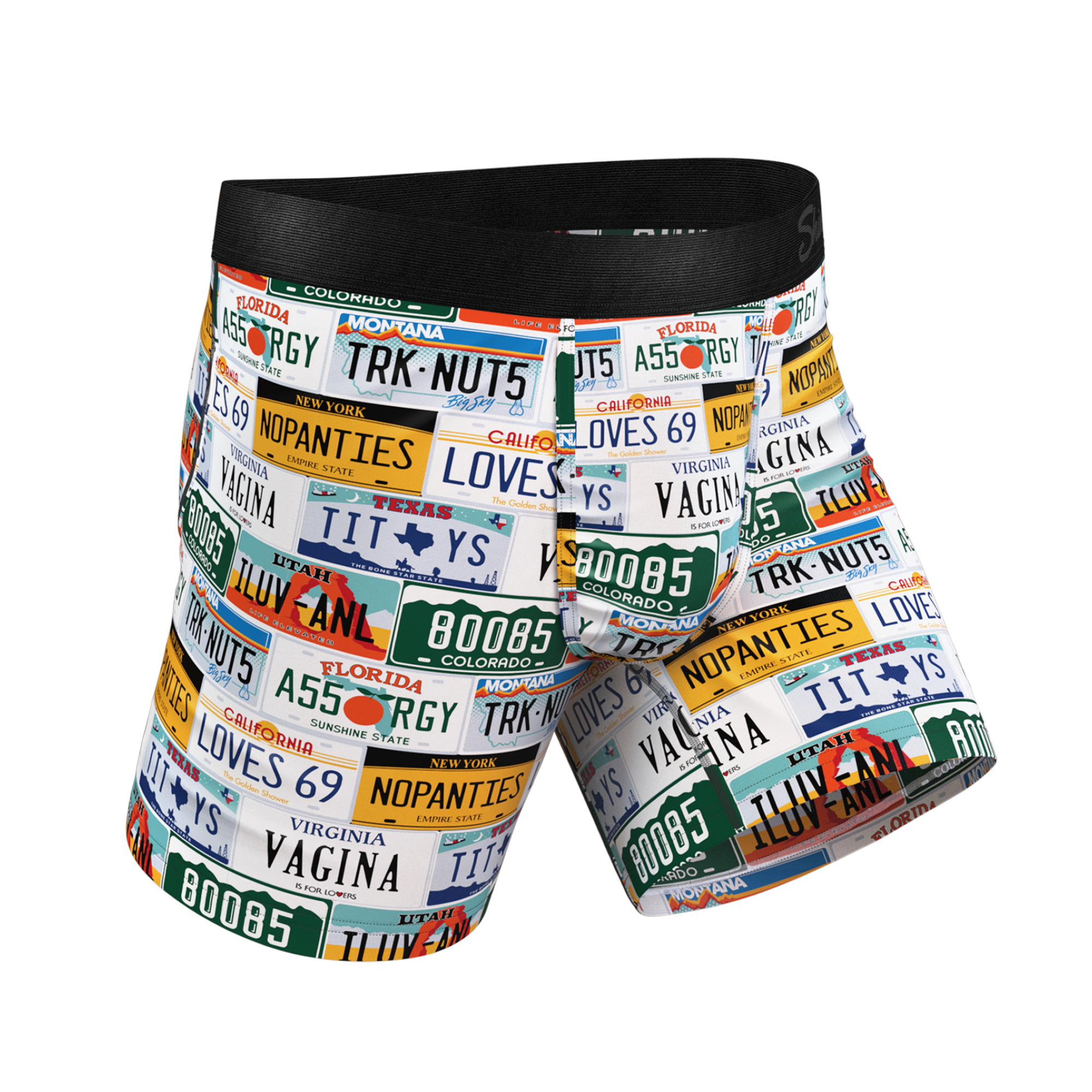 The DMV Catastrophe | License Plates Ball Hammock® Pouch Underwear - Shinesty