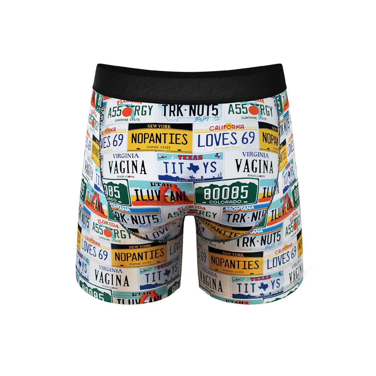 The DMV Catastrophe | License Plates Ball Hammock® Pouch Underwear - Shinesty