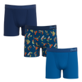 The Go Fish | Youth Boxer Briefs 3 Pack - Shinesty