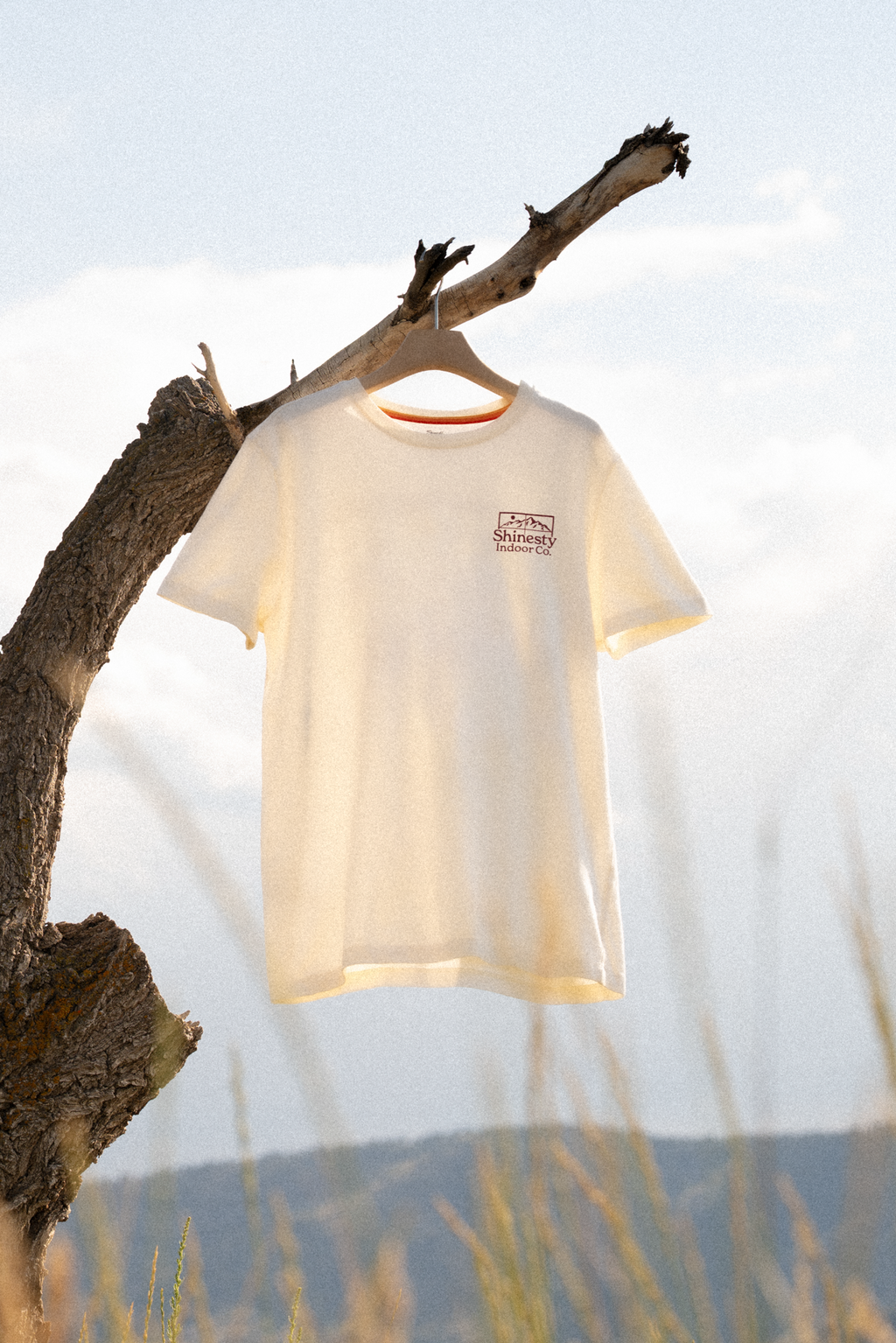 The Shinesty Indoor Co | Cabin Everyman™ T Shirt - Shinesty