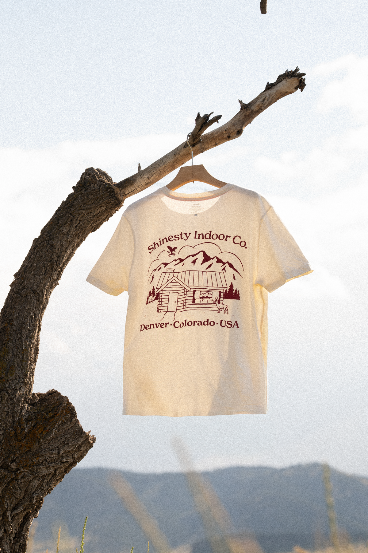 The Shinesty Indoor Co | Cabin Everyman™ T Shirt - Shinesty