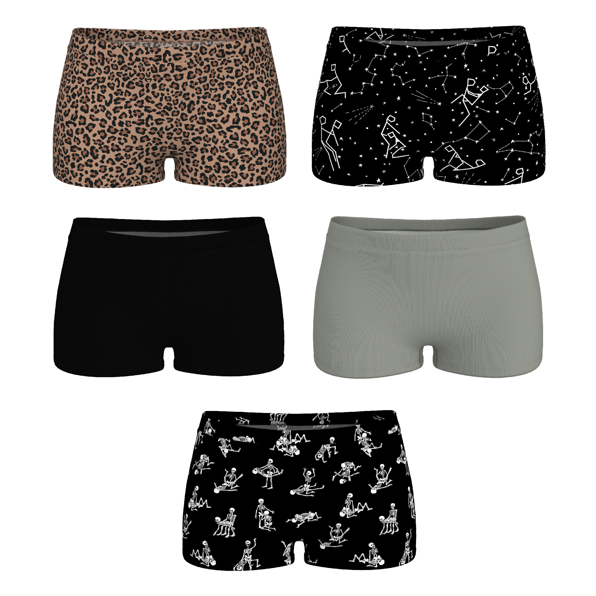 The Historical Bests | Boyshort Underwear 5 Pack - Shinesty