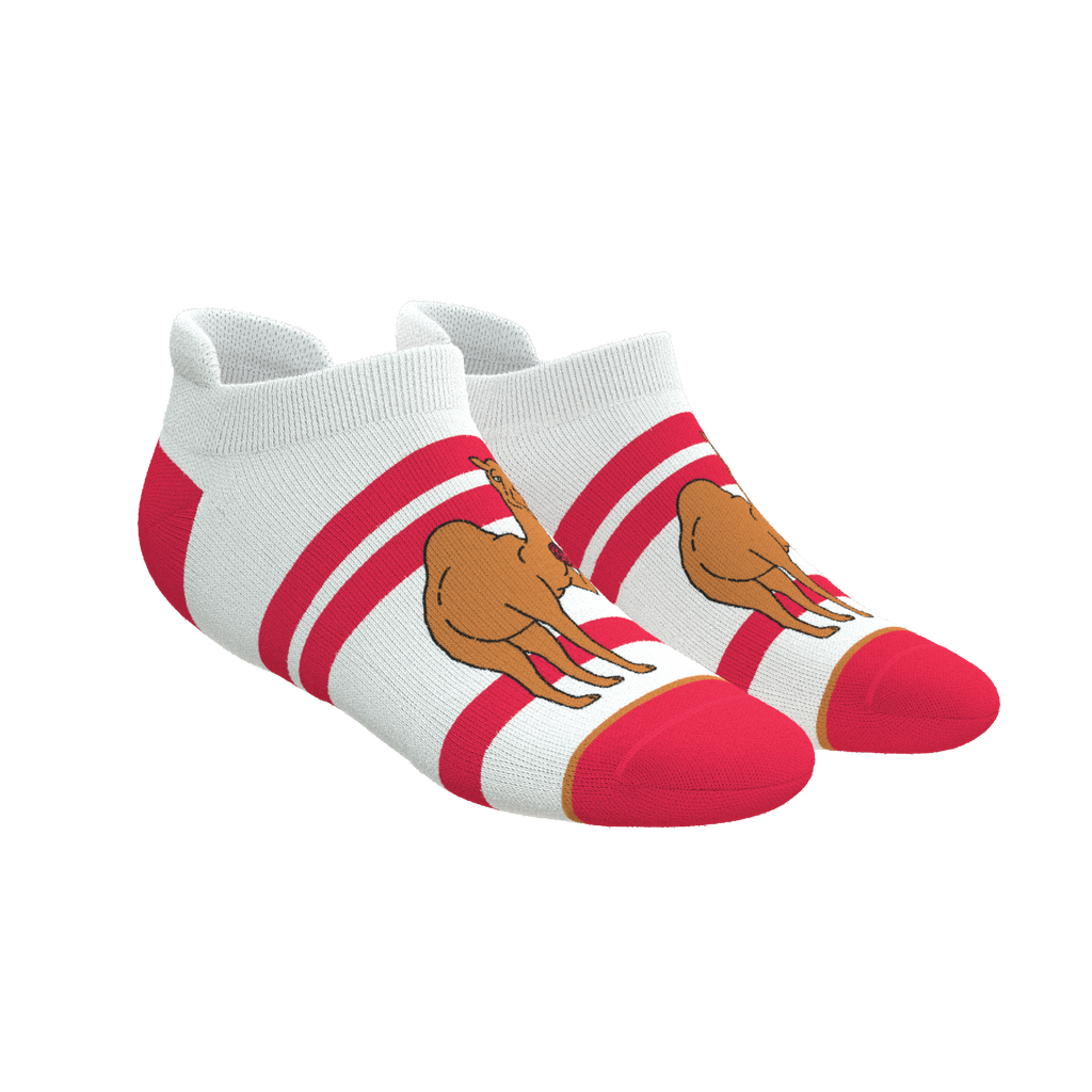 The Hump Day | Camel Heel Hammock™ Ankle Socks - Shinesty