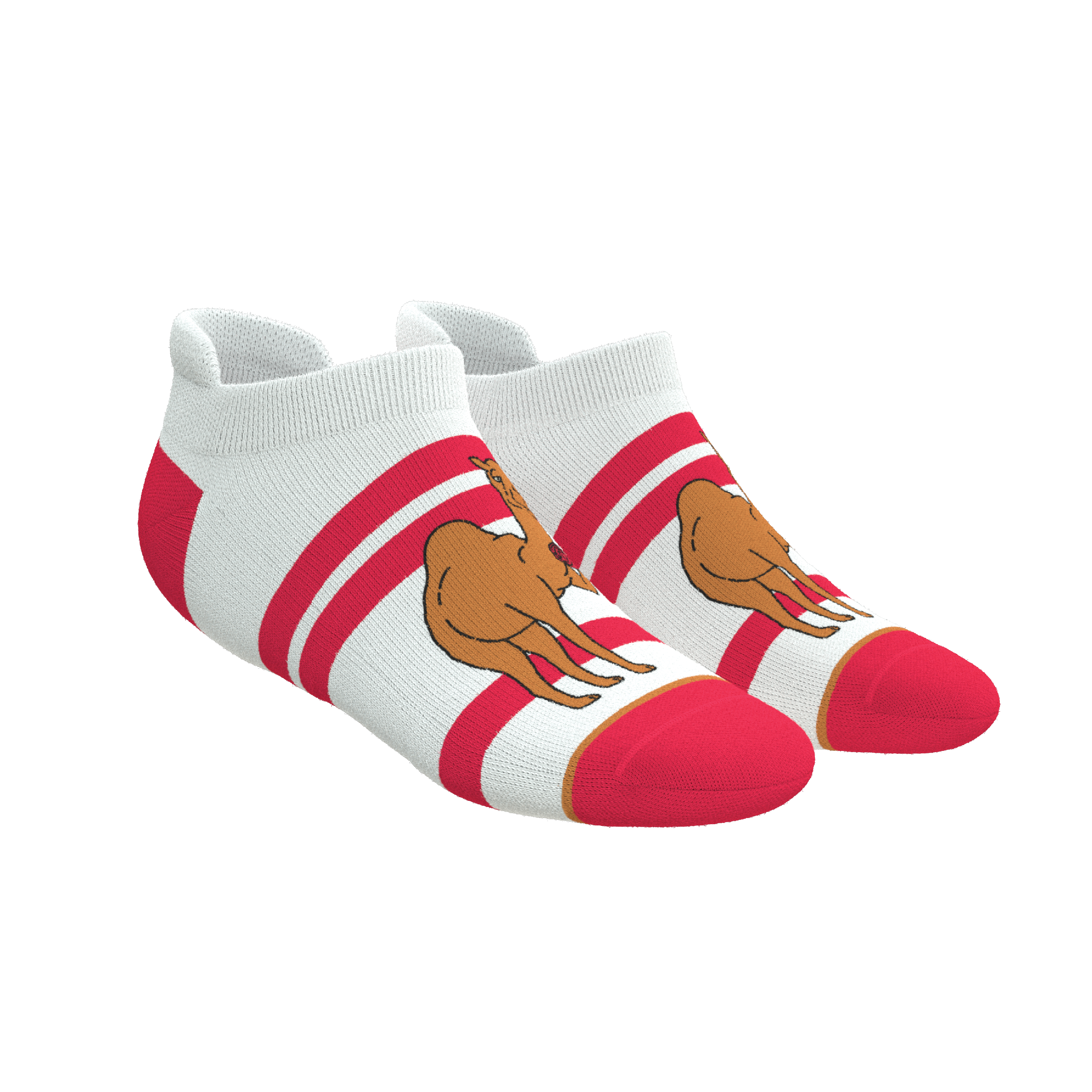 The Hump Day | Camel Heel Hammock™ Ankle Socks - Shinesty