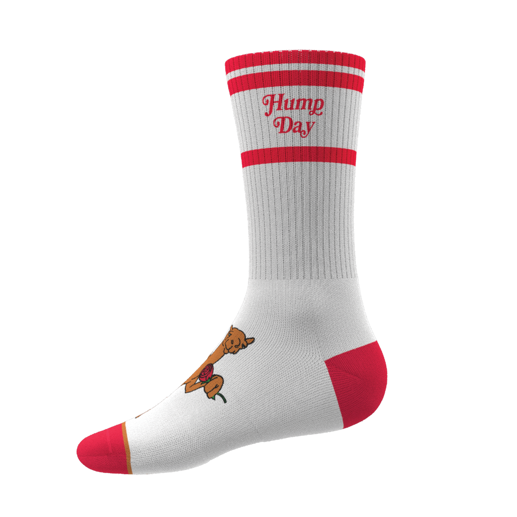 The Hump Day | Camel Heel Hammock™ Crew Socks - Shinesty