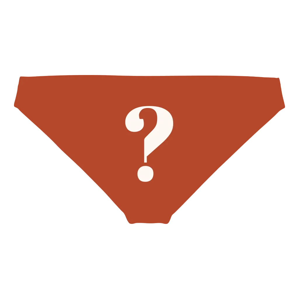 The Mystery | Surprise Modal Bikini Underwear - Shinesty