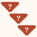 The Mystery | Bikini Underwear 3 Pack - Shinesty