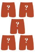 The Mystery Bundle | Ball Hammock® Boxer Brief 5 Pack - Shinesty