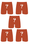 The Mystery Bundle | Ball Hammock® Pouch Boxer Briefs with Fly 5 Pack - Shinesty