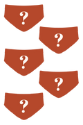 The Mystery Bundle | Ball Hammock® Pouch Briefs 5 Pack - Shinesty