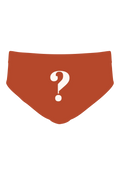 The Mystery | Surprise Ball Hammock® Pouch Underwear Briefs - Shinesty
