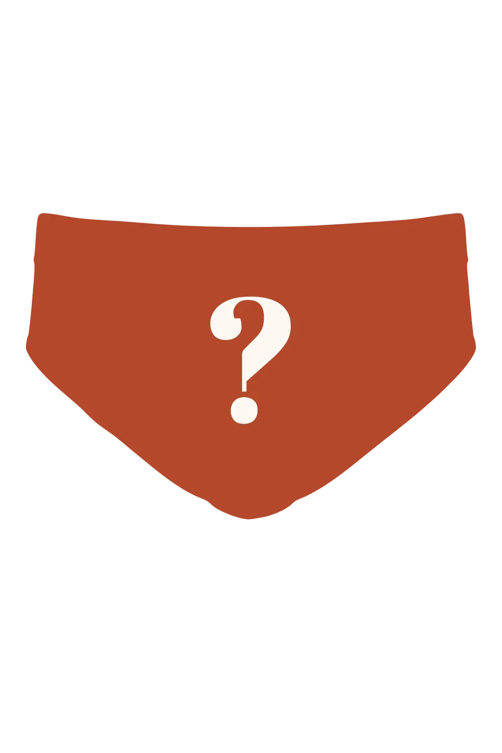 The Mystery | Surprise Ball Hammock® Pouch Underwear Briefs - Shinesty