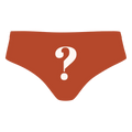 The Mystery | Surprise Cheeky Underwear - Shinesty