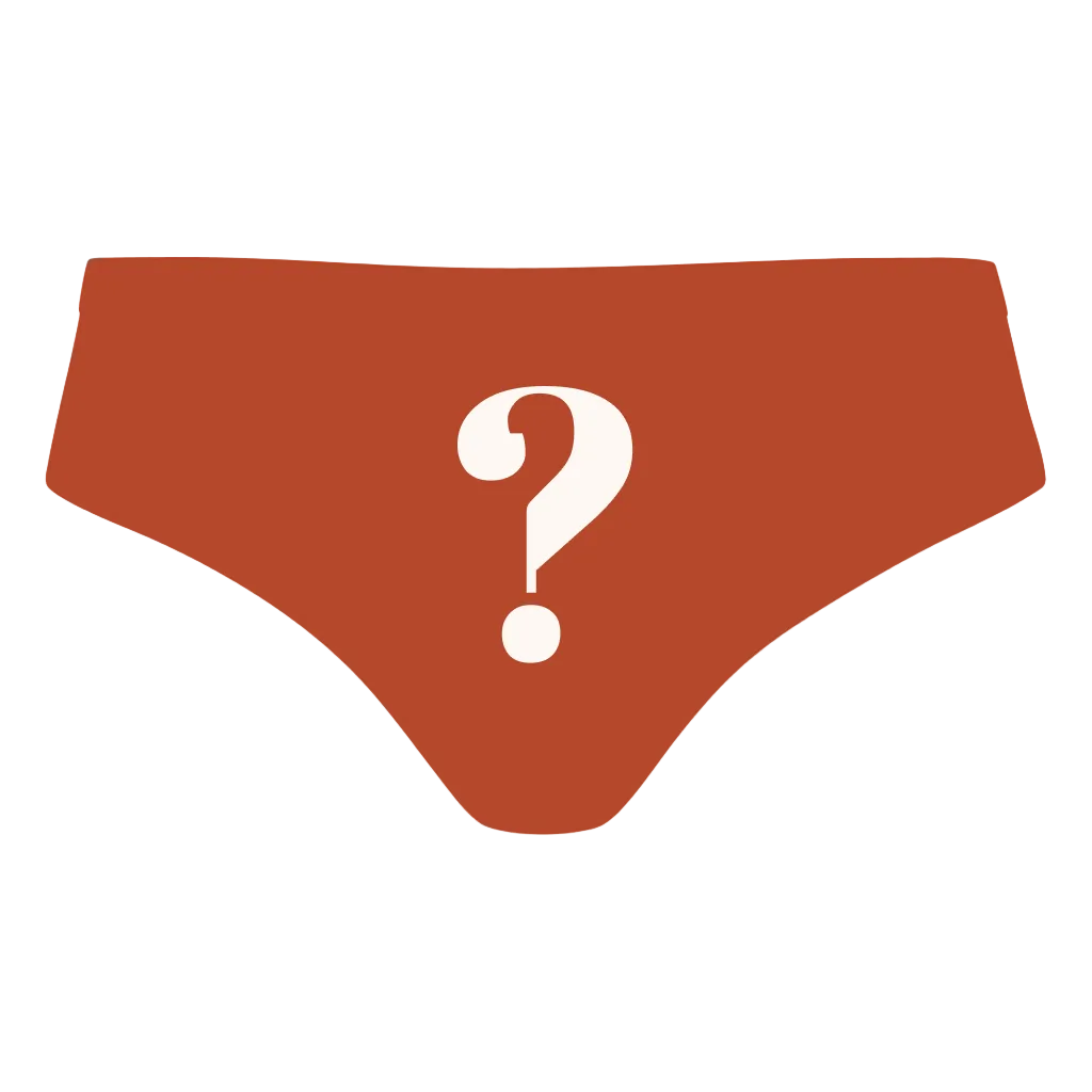 The Mystery | Surprise Cheeky Underwear - Shinesty