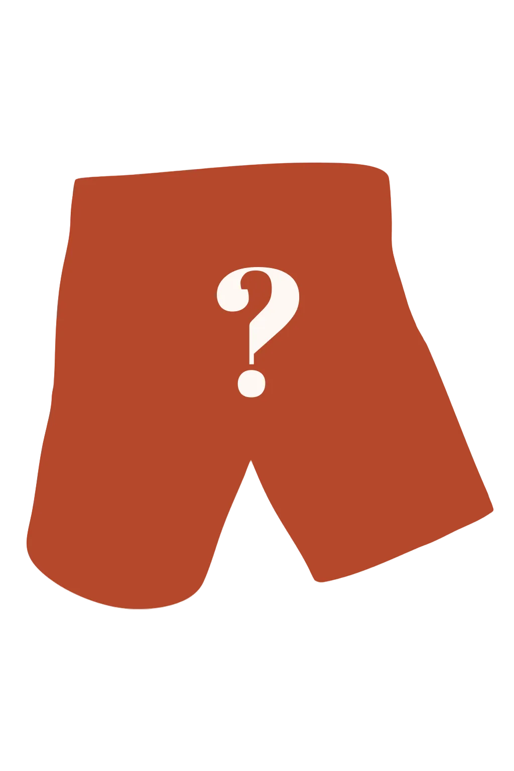 The Mystery | Surprise Ball Hammock® Boxer - Long Leg - Shinesty