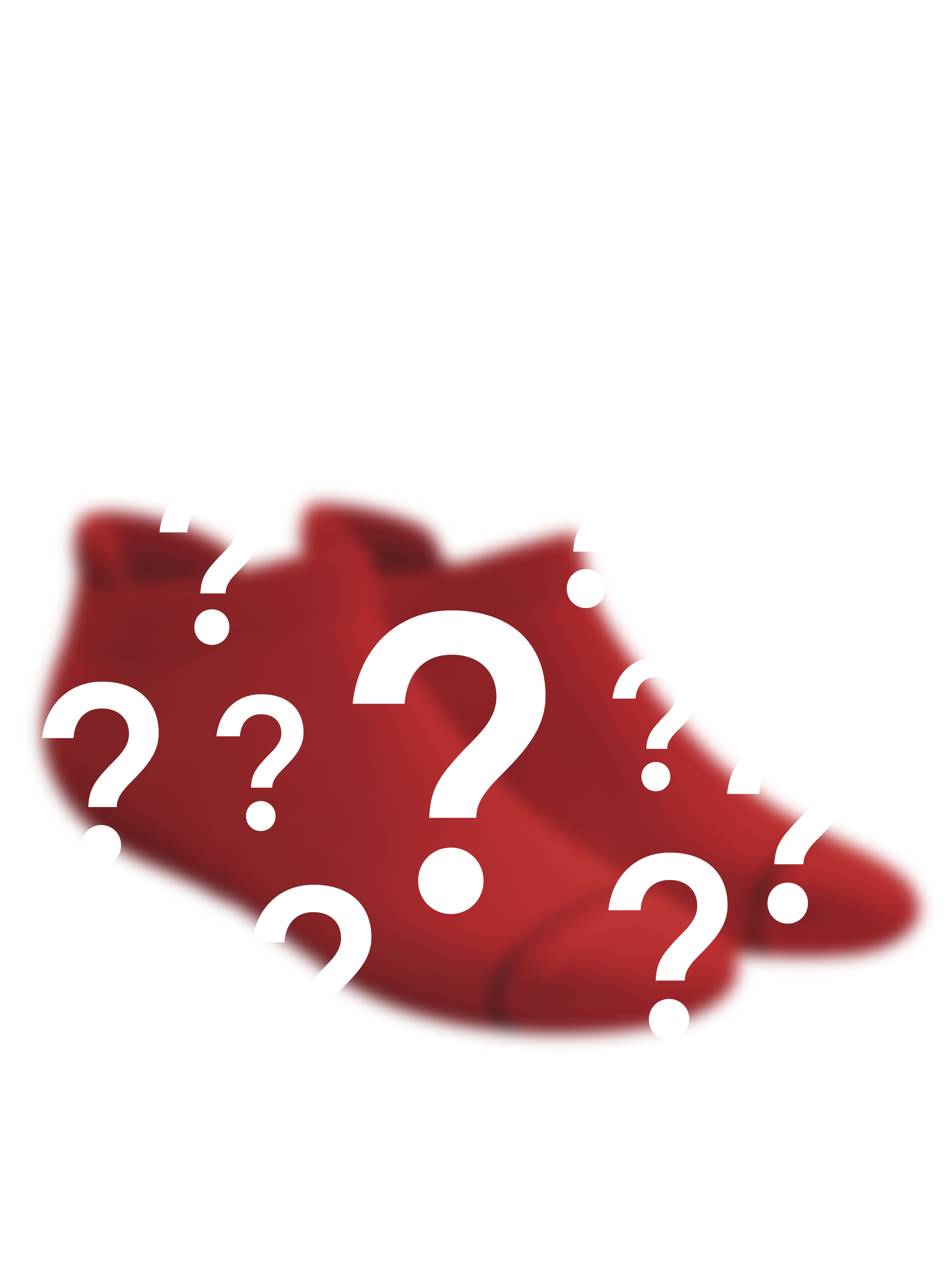 The Mystery | Surprise Heel Hammock™ Ankle Socks - Shinesty