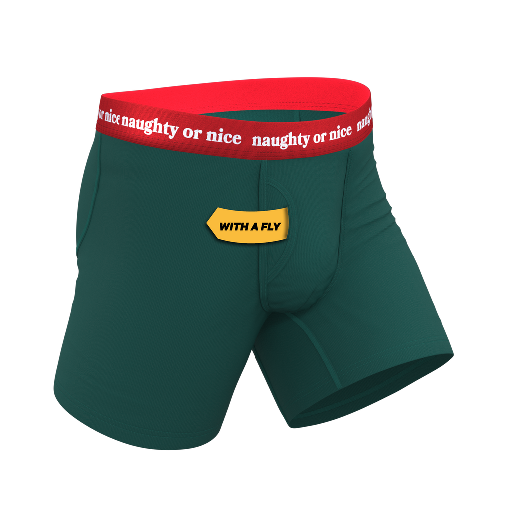 The Nice List | Flirty Waistband Ball Hammock® Pouch Underwear With Fly - Shinesty