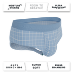 The Spick & Span | Window Pane Plaid Ball Hammock® Pouch Underwear Briefs - Shinesty