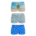 The Women Summer Essentials | Boyshort Underwear 3 Pack - Shinesty
