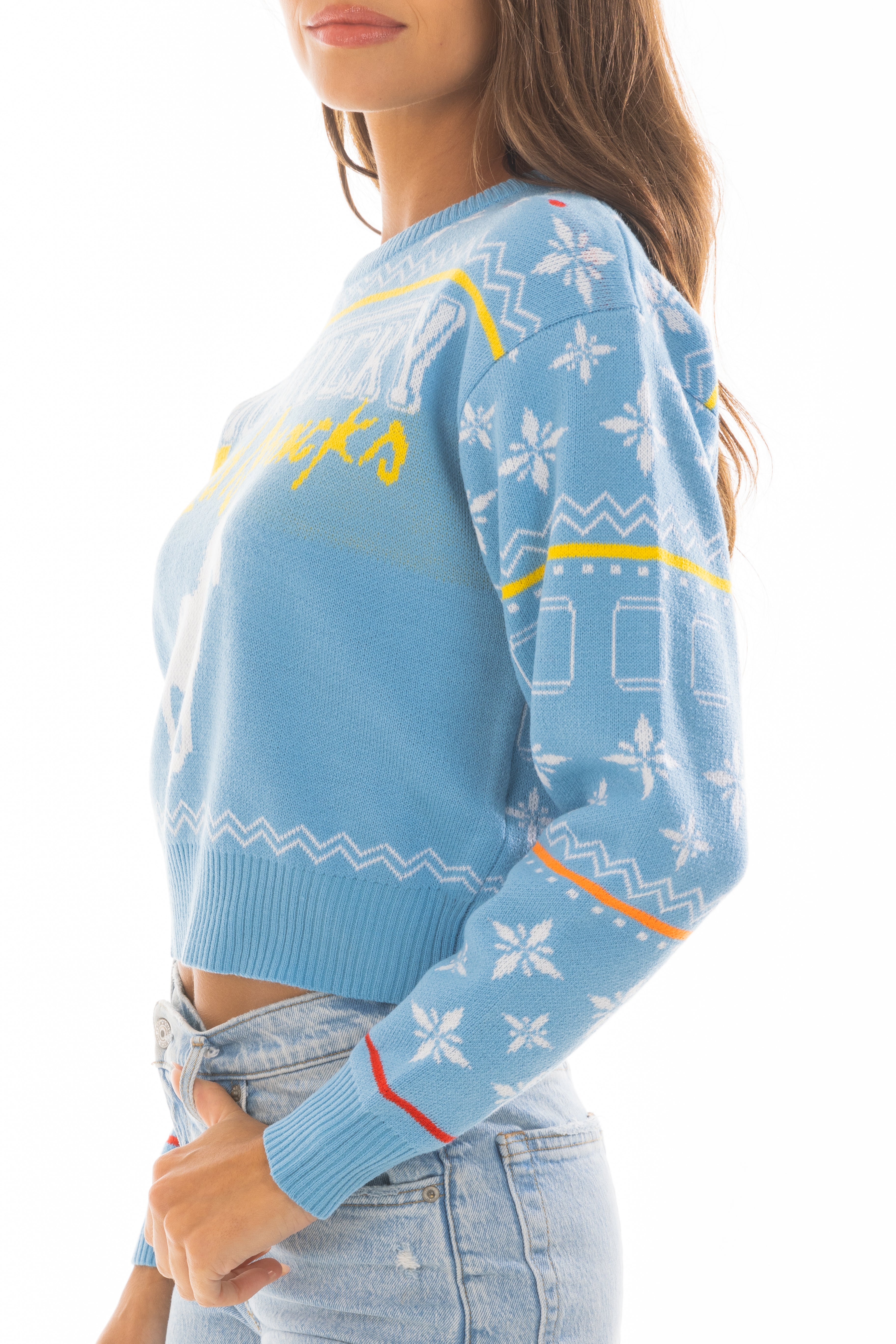 The Body Coozie | Montucky Holiday Cropped Sweater - Shinesty