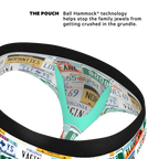 The DMV Catastrophe | License Plates Ball Hammock® Pouch Underwear Briefs - Shinesty