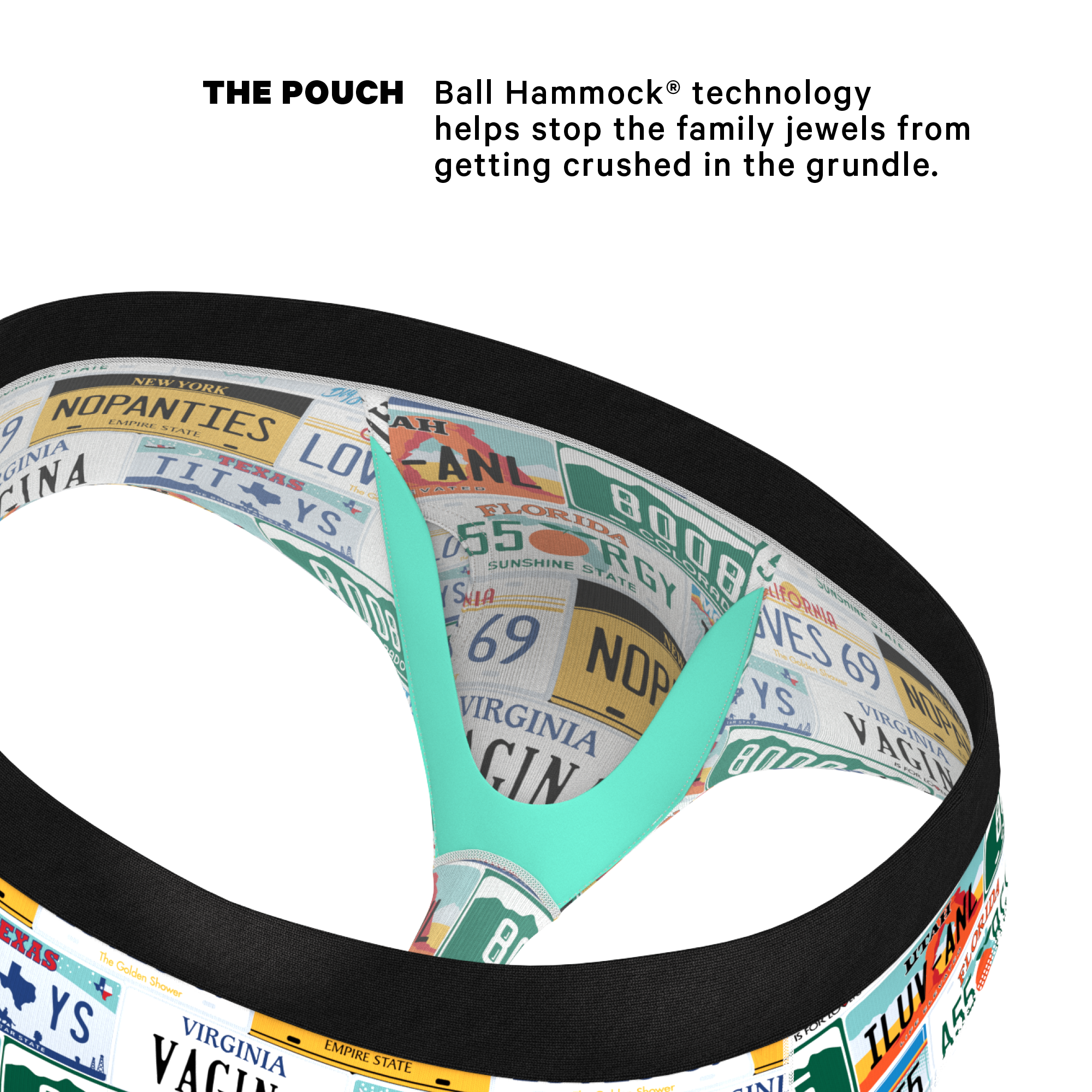 The DMV Catastrophe | License Plates Ball Hammock® Pouch Underwear Briefs - Shinesty