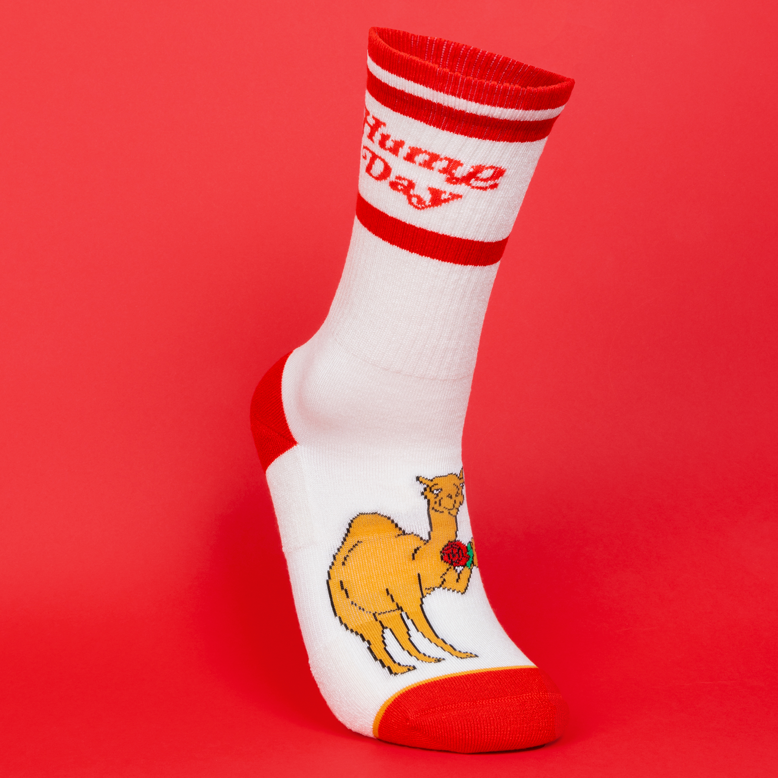 The Hump Day | Camel Heel Hammock™ Crew Socks - Shinesty