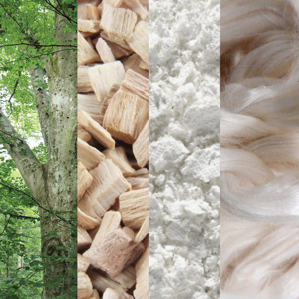 Four-panel strip of a beech tree, wood chips, pulp and finished fiber, the plant-based route to Shinesty boys' MicroModal