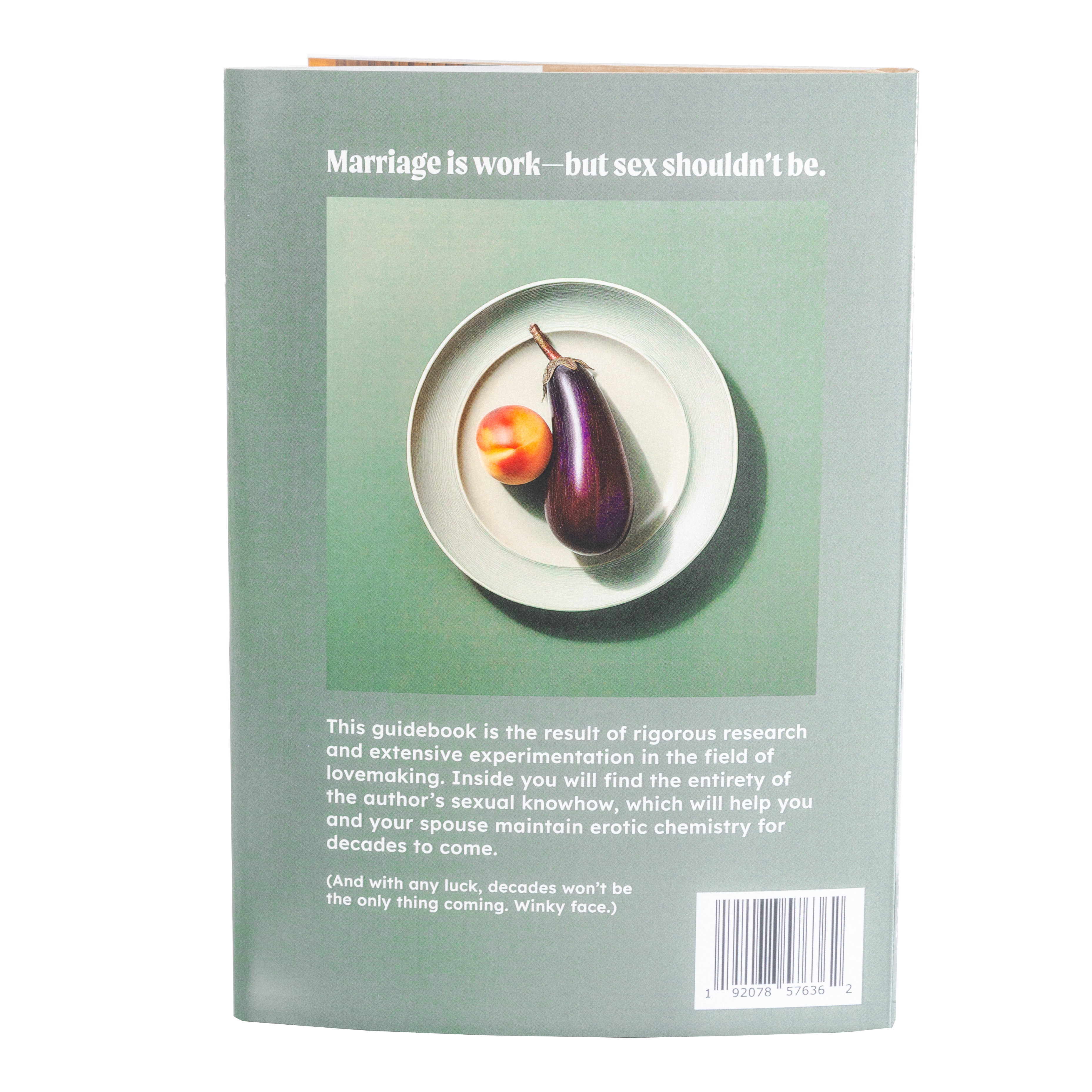 Shinesty Guide to Marital Bliss | Erotic Guidebook - Shinesty