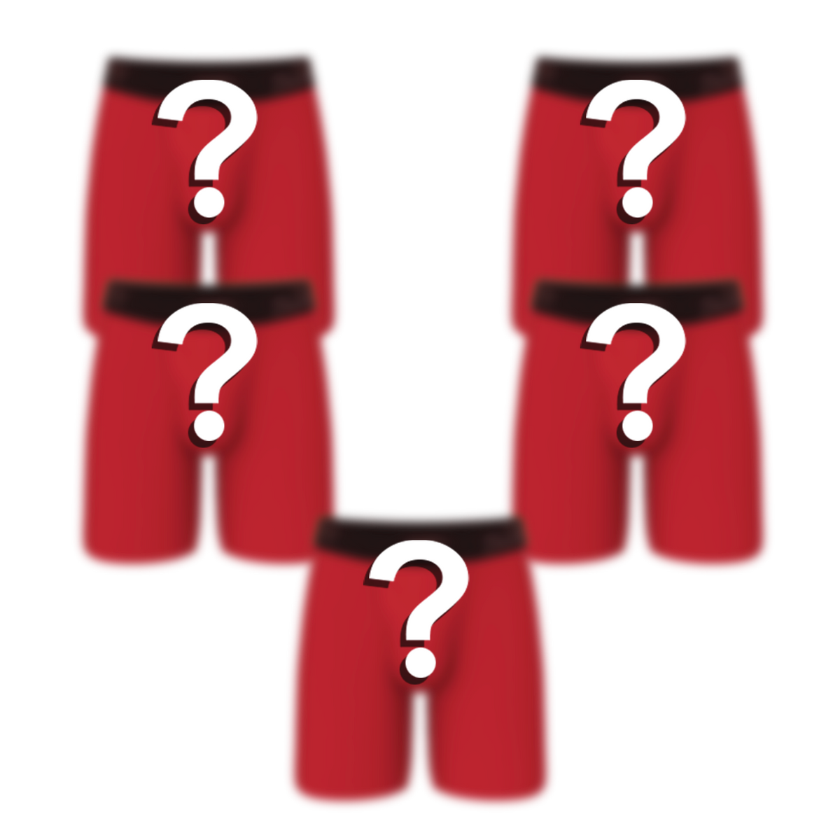 The Mystery Bundle | Long Leg Ball Hammock® Pouch Underwear With Fly 5 Pack - Shinesty