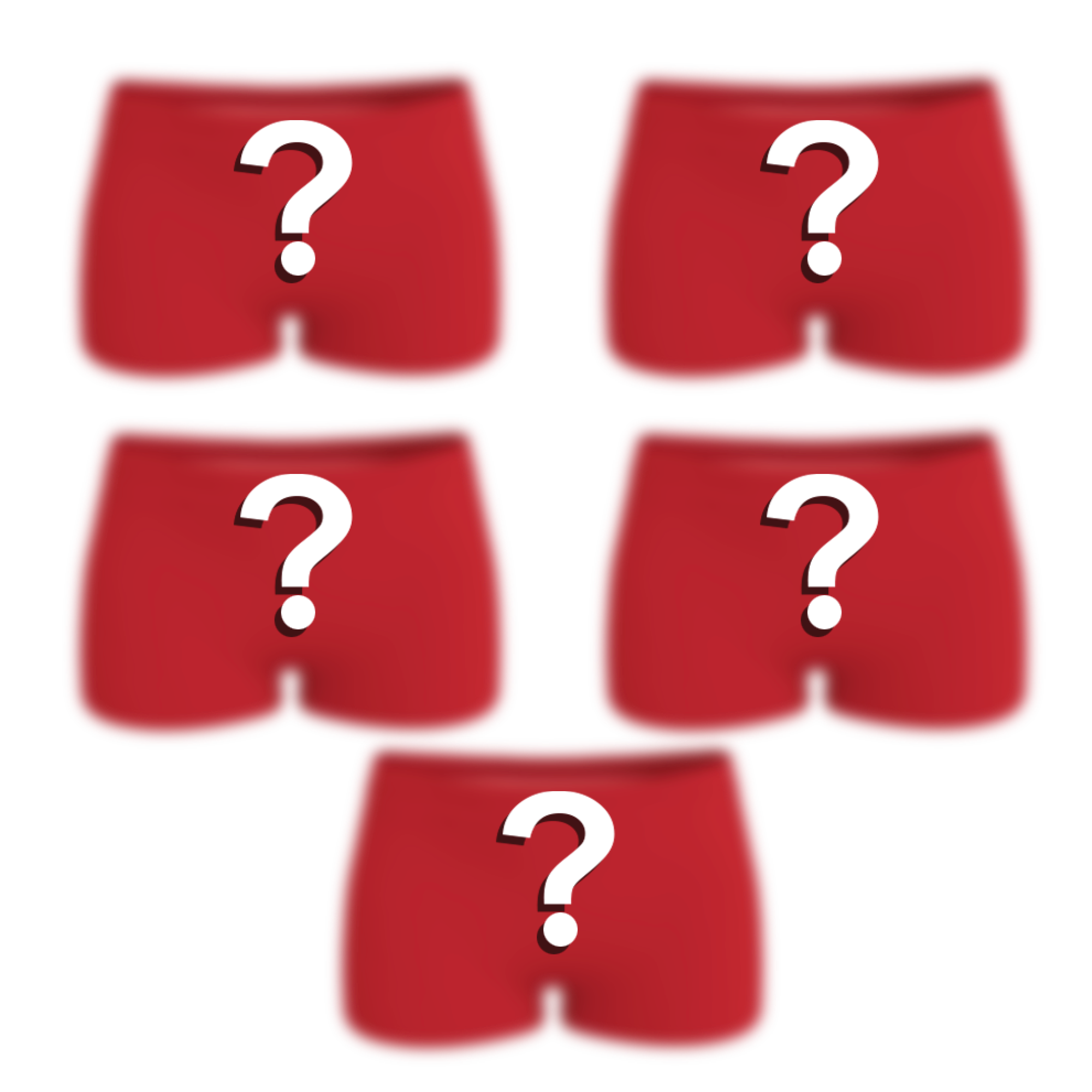 The Mystery Bundle | Boyshort Underwear 5 Pack - Shinesty