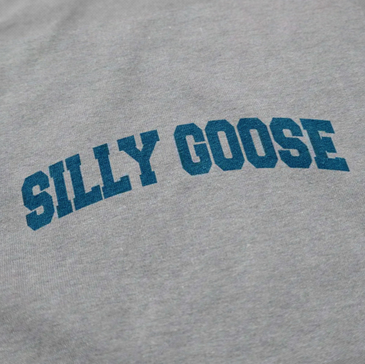Silly Goose Academy T Shirt - Shinesty