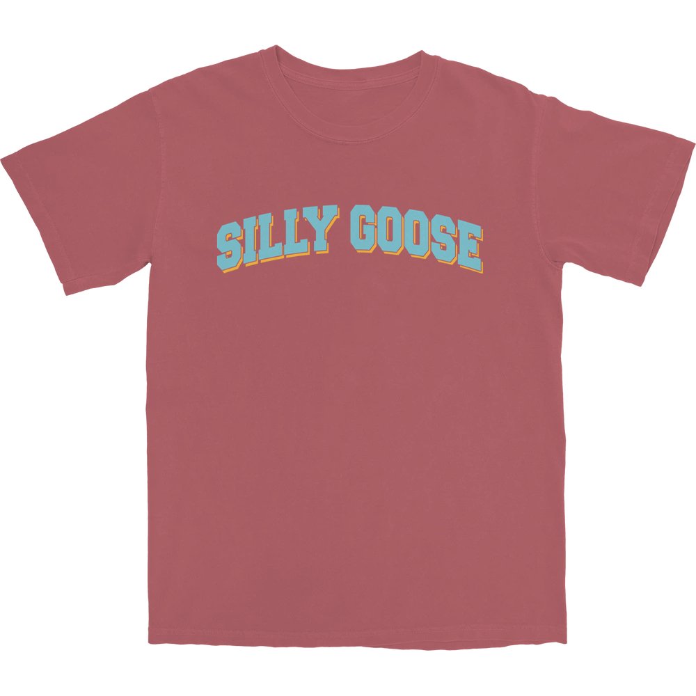 Silly Goose Academy T Shirt - Shinesty