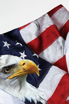 The Emblem | USA Eagle Swim Brief - Shinesty
