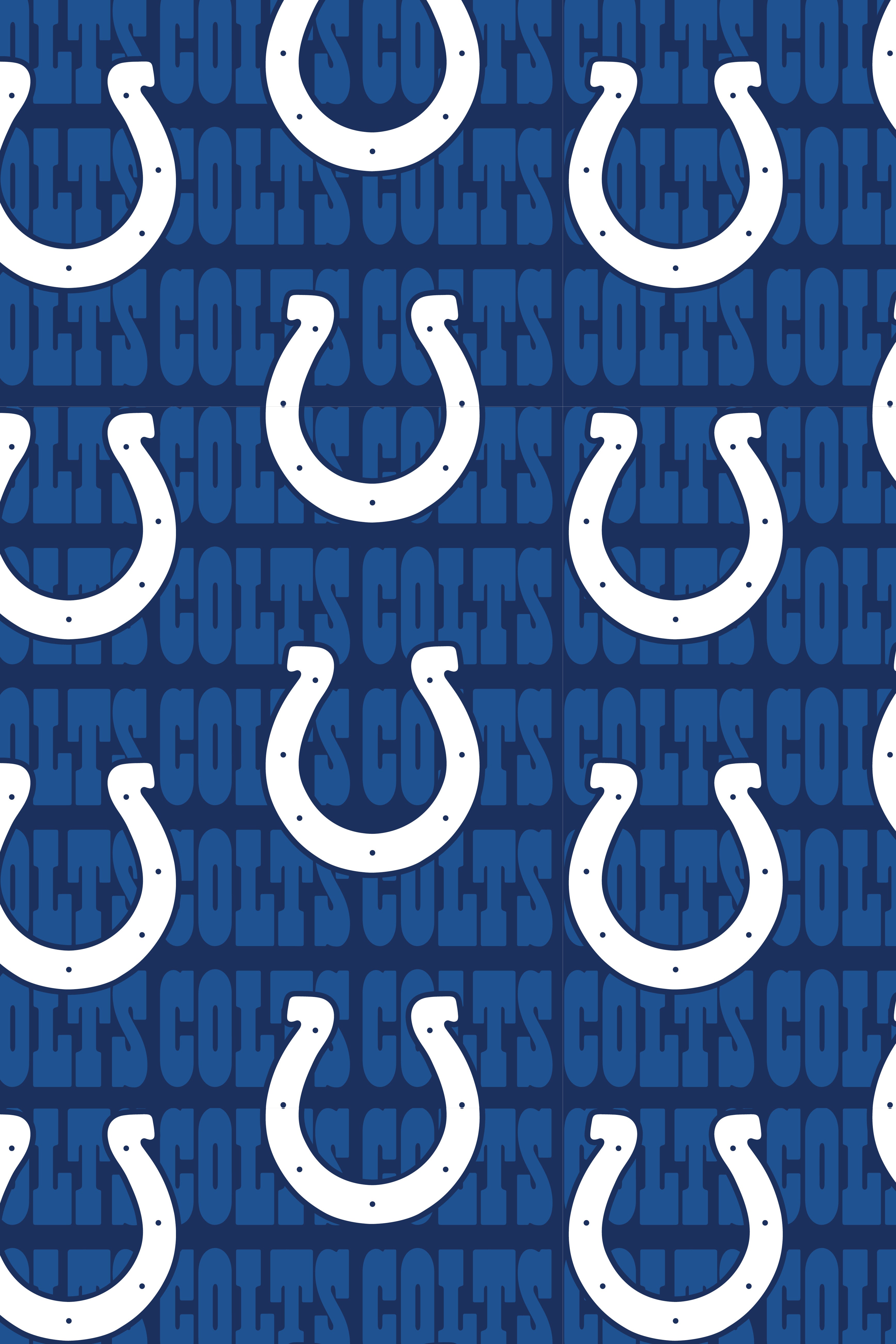 The Indianapolis Colts | NFL Gameday Blazer - Shinesty