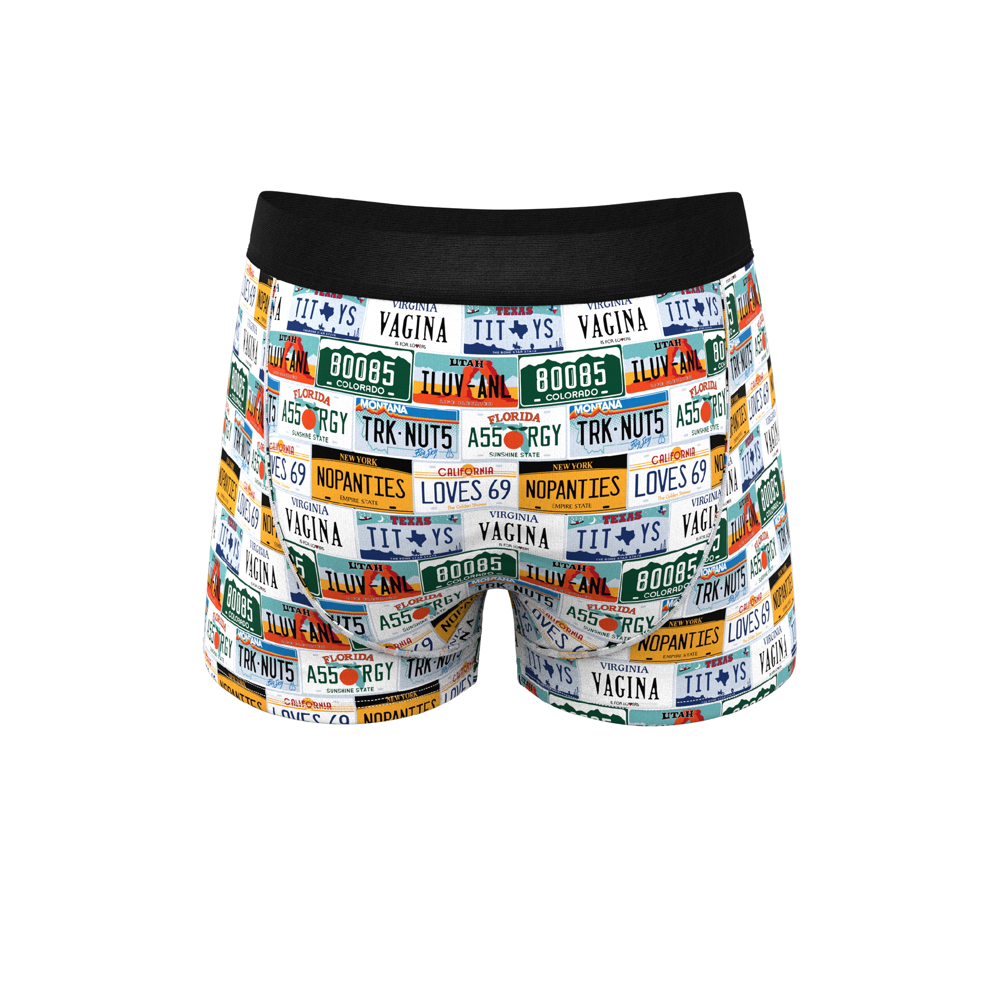 The DMV Catastrophe | License Plates Ball Hammock® Pouch Trunks Underwear - Shinesty