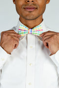 The Savannah Swinger | Pastel Plaid Bow Tie - Shinesty