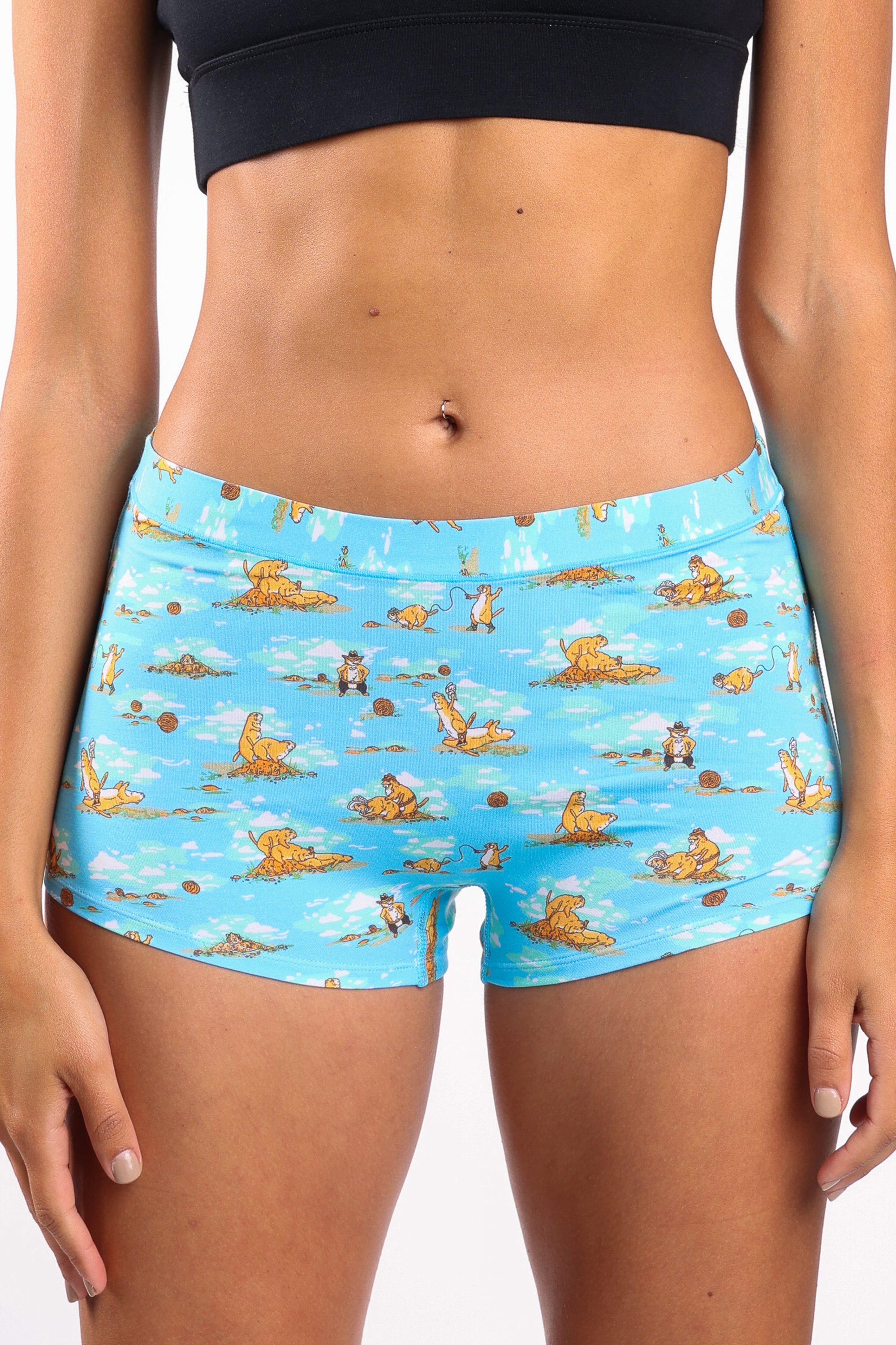 The Brokeback Mounted | Prairie Dog Modal Boyshort Underwear - Shinesty