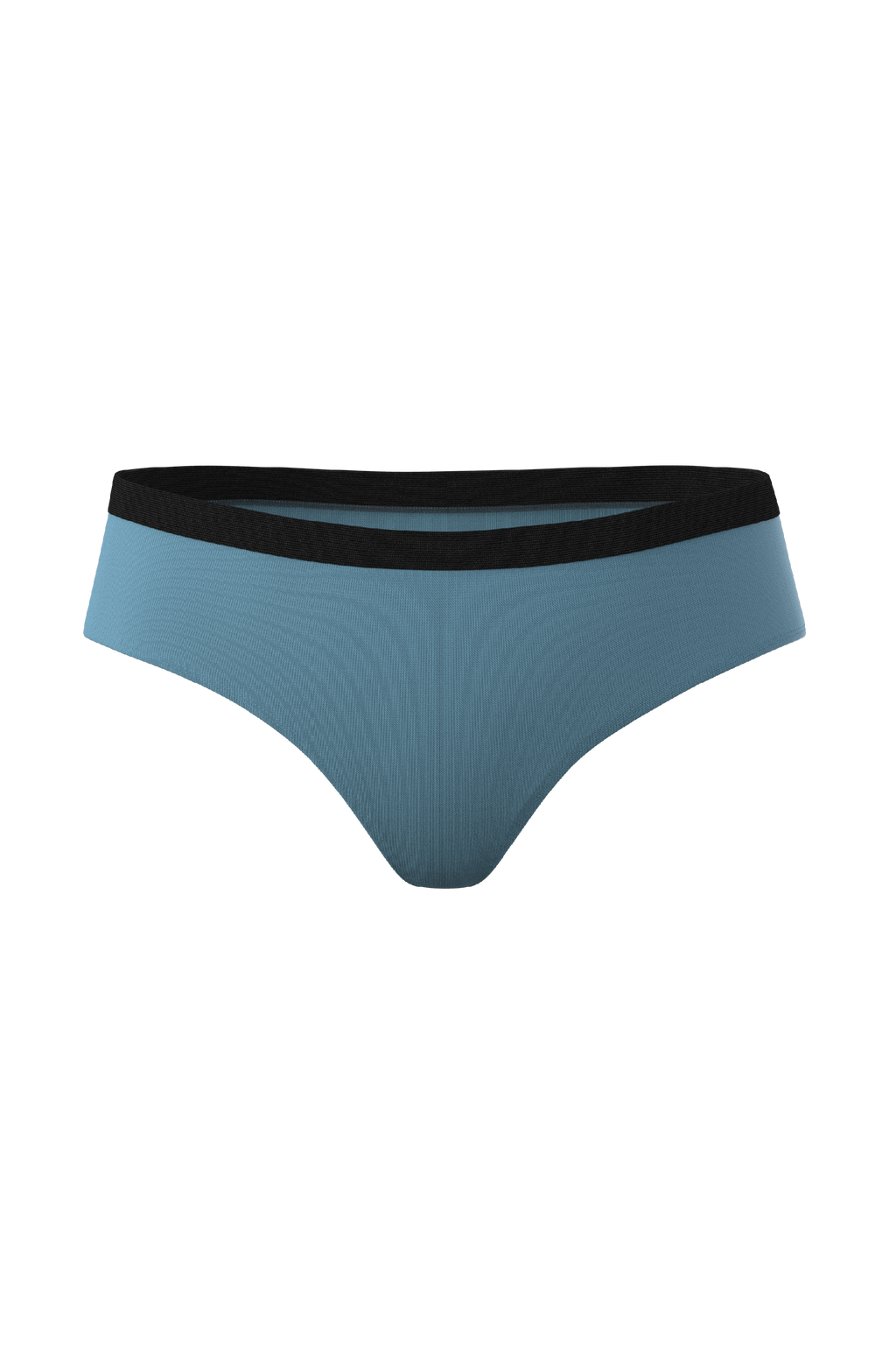 The Neptune | Slate Blue Cheeky Underwear - Shinesty