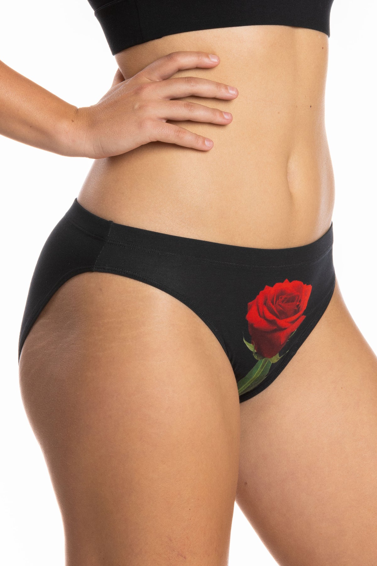 The Right Reasons | Rose Modal Bikini Underwear - Shinesty