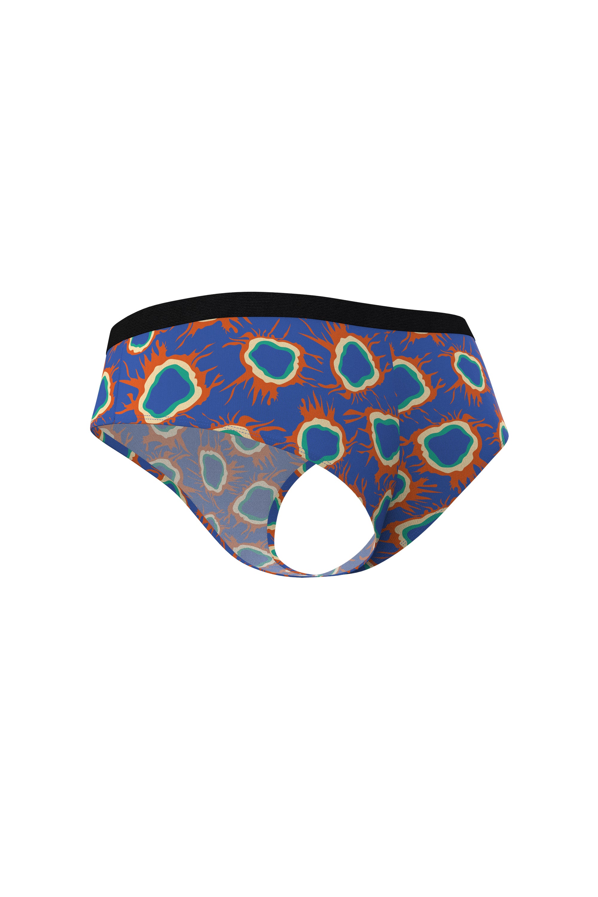 The Yellowstone | Cecilia Monge Original Geyser Modal Cheeky Underwear - Shinesty